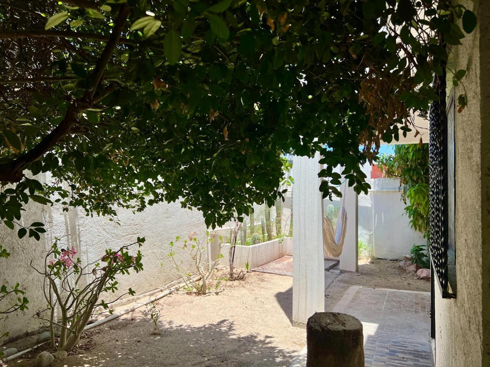 Apartamento La Casa Del Pescador La Paz Exterior foto