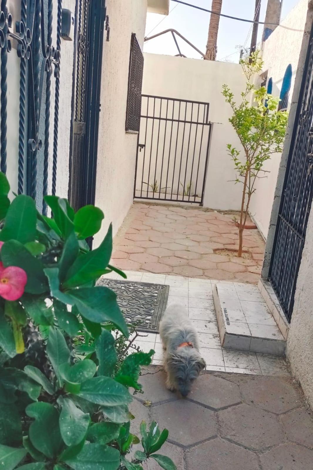 Apartamento La Casa Del Pescador La Paz Exterior foto